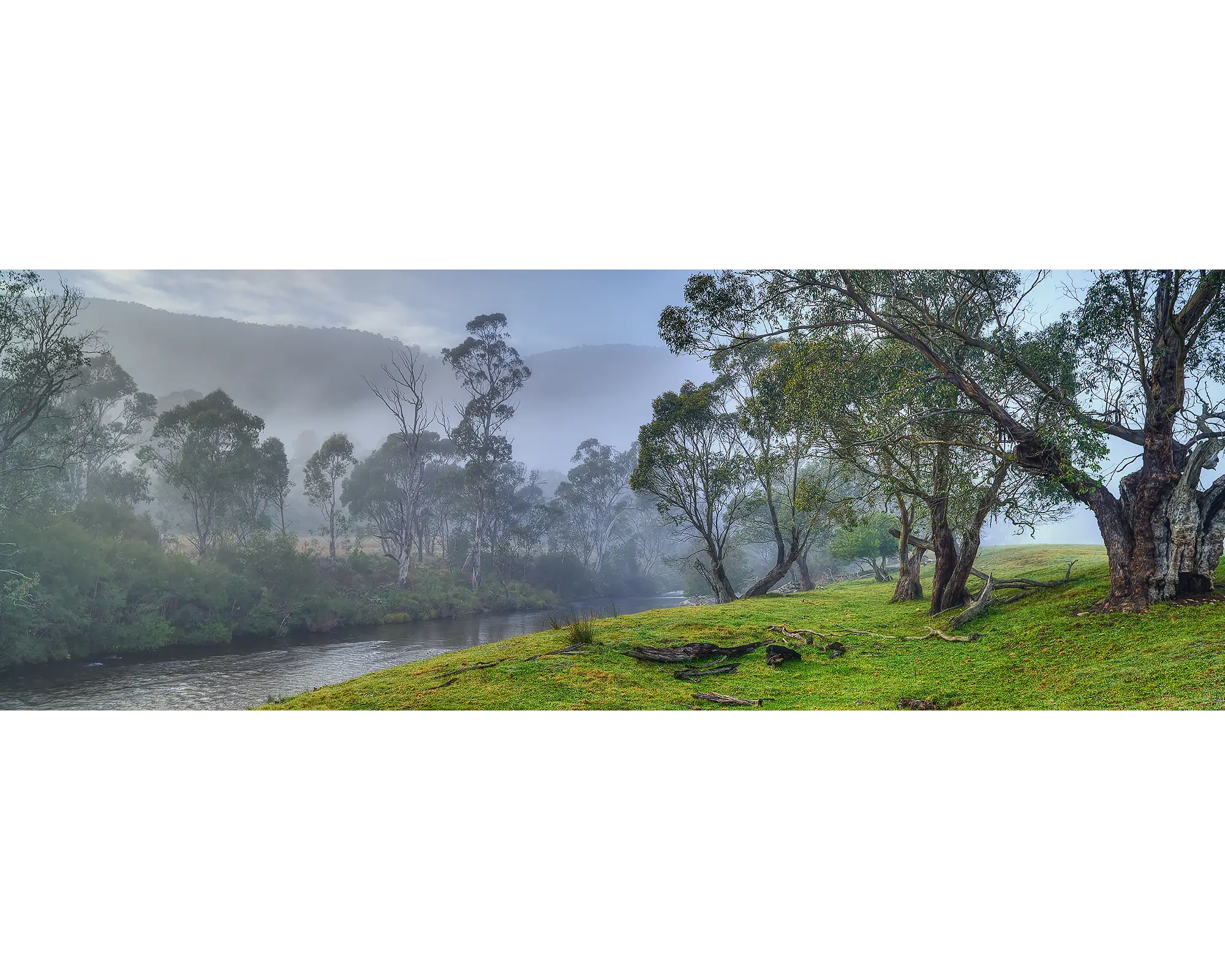 Morning fog along the upper Murray River,  Victoria. 