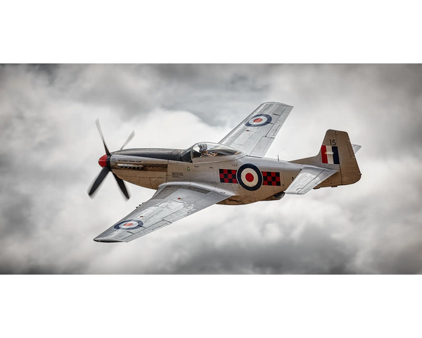 MUSTANG. P-51 Mustang. Aviation Wall Art Print.