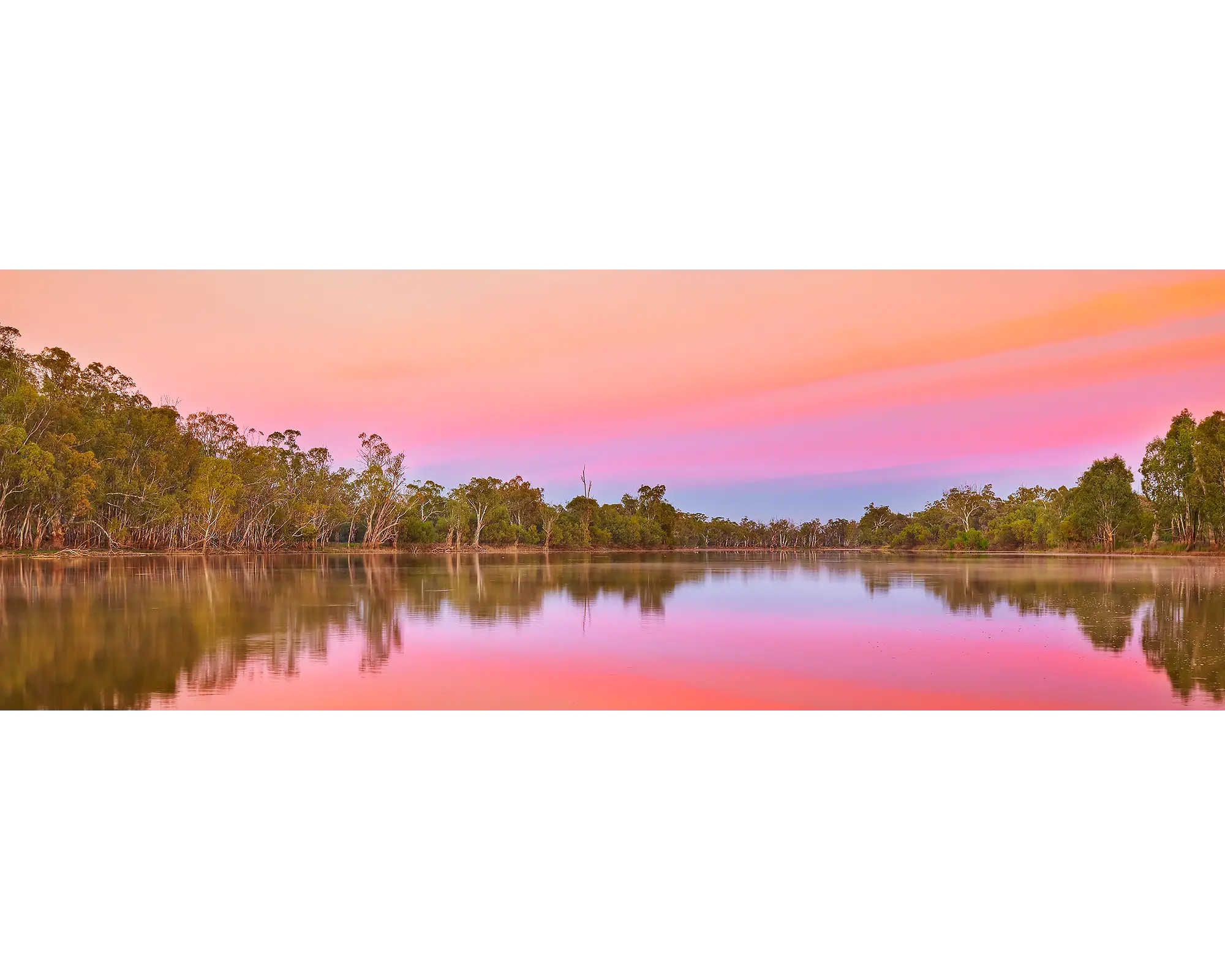 Pink sky at sunrise over the Murray River, South Australia. 