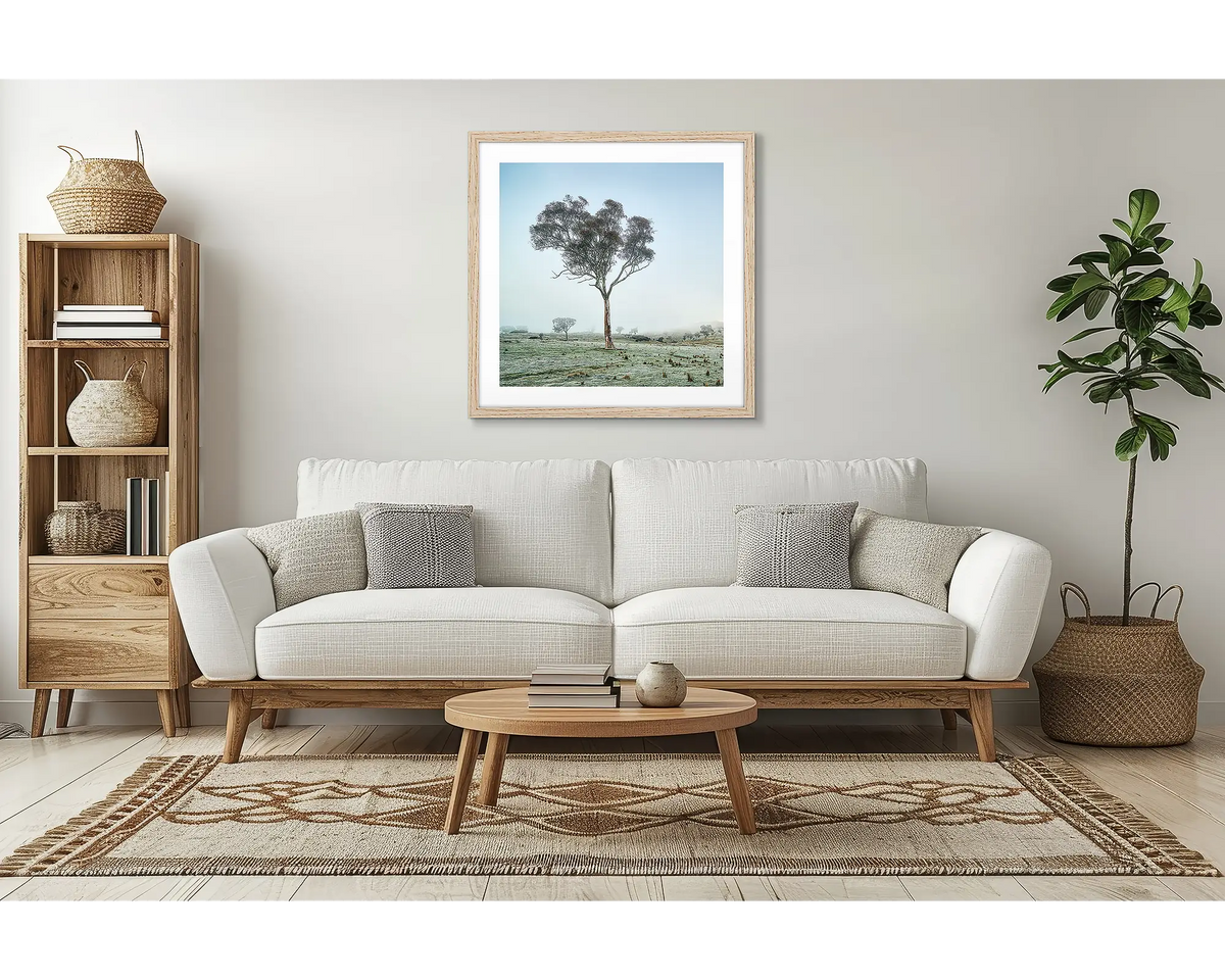 Off Balance. Gum tree artwork with a timber frame, in a lounge room, above a couch. 