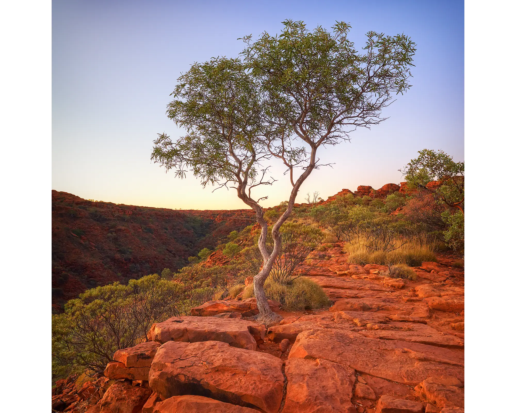 On the Edge acrylic block - Kings Canyon artwork. 