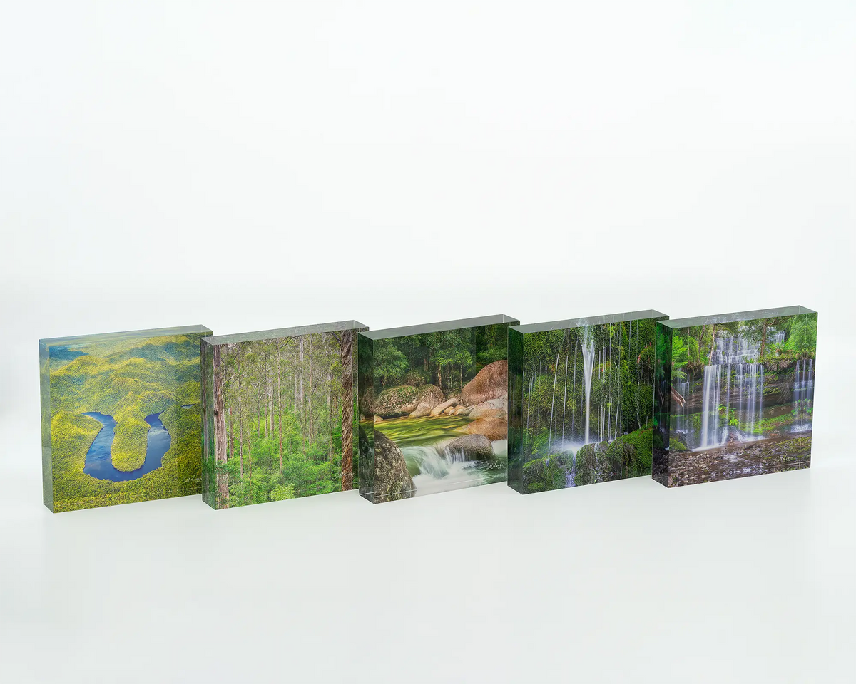 Otway Flow acrylic block displayed with other rainforest and waterway themed acrylic blocks.