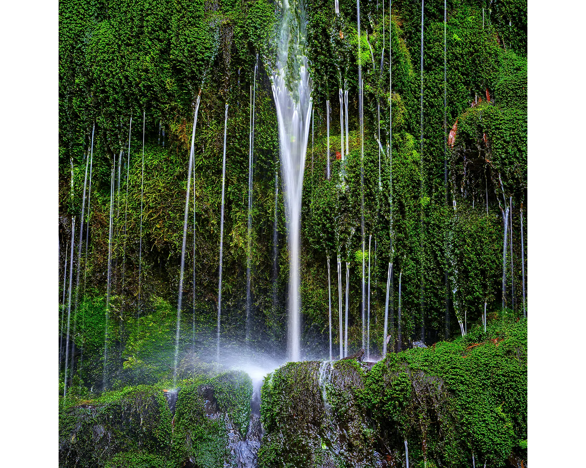 Water flowing down moss covered rock at Erskine Falls, Great Otway National Park, Victoria. 