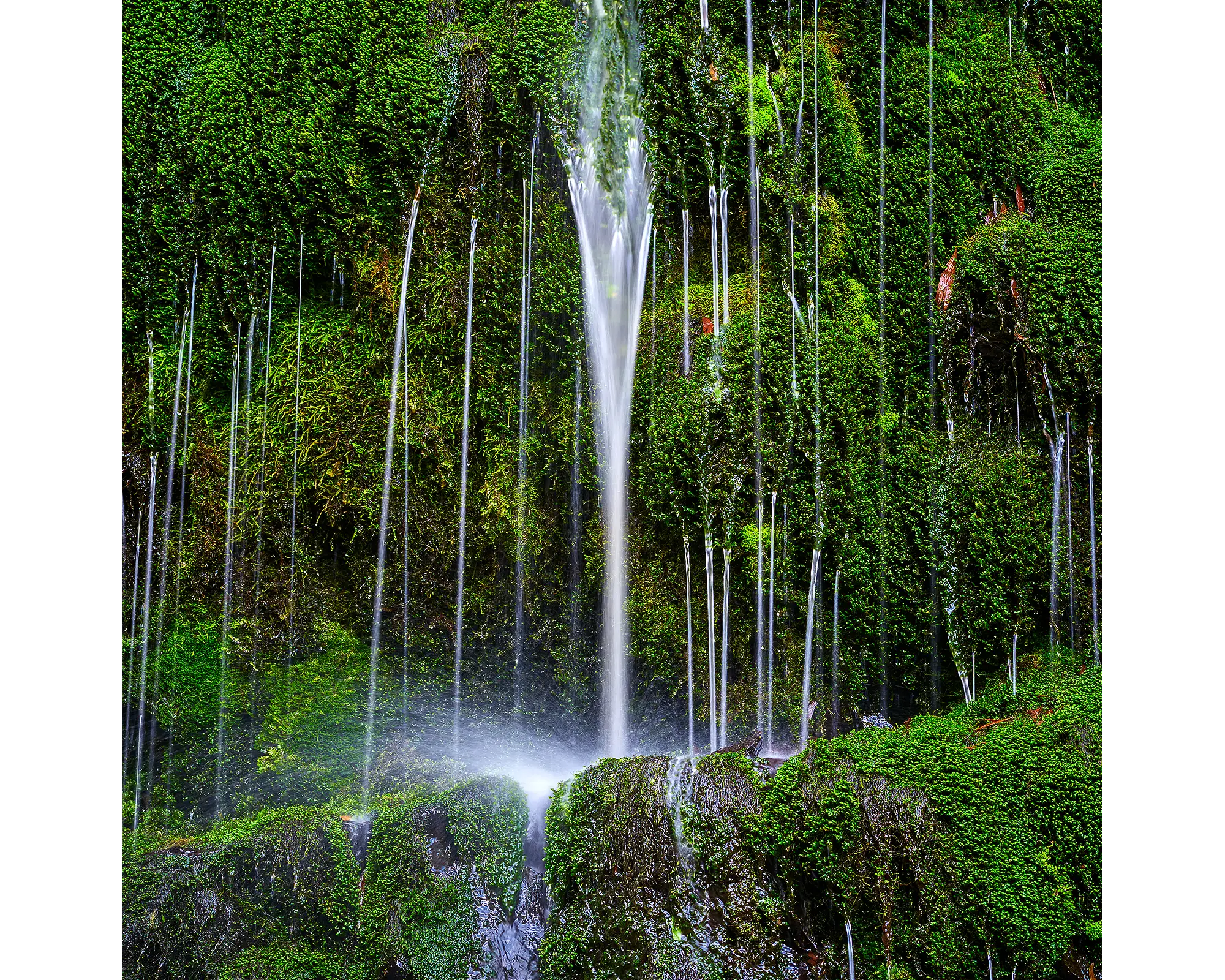 Otway Flow acrylic block - Erskine Falls, Great Otway National Park artwork. 