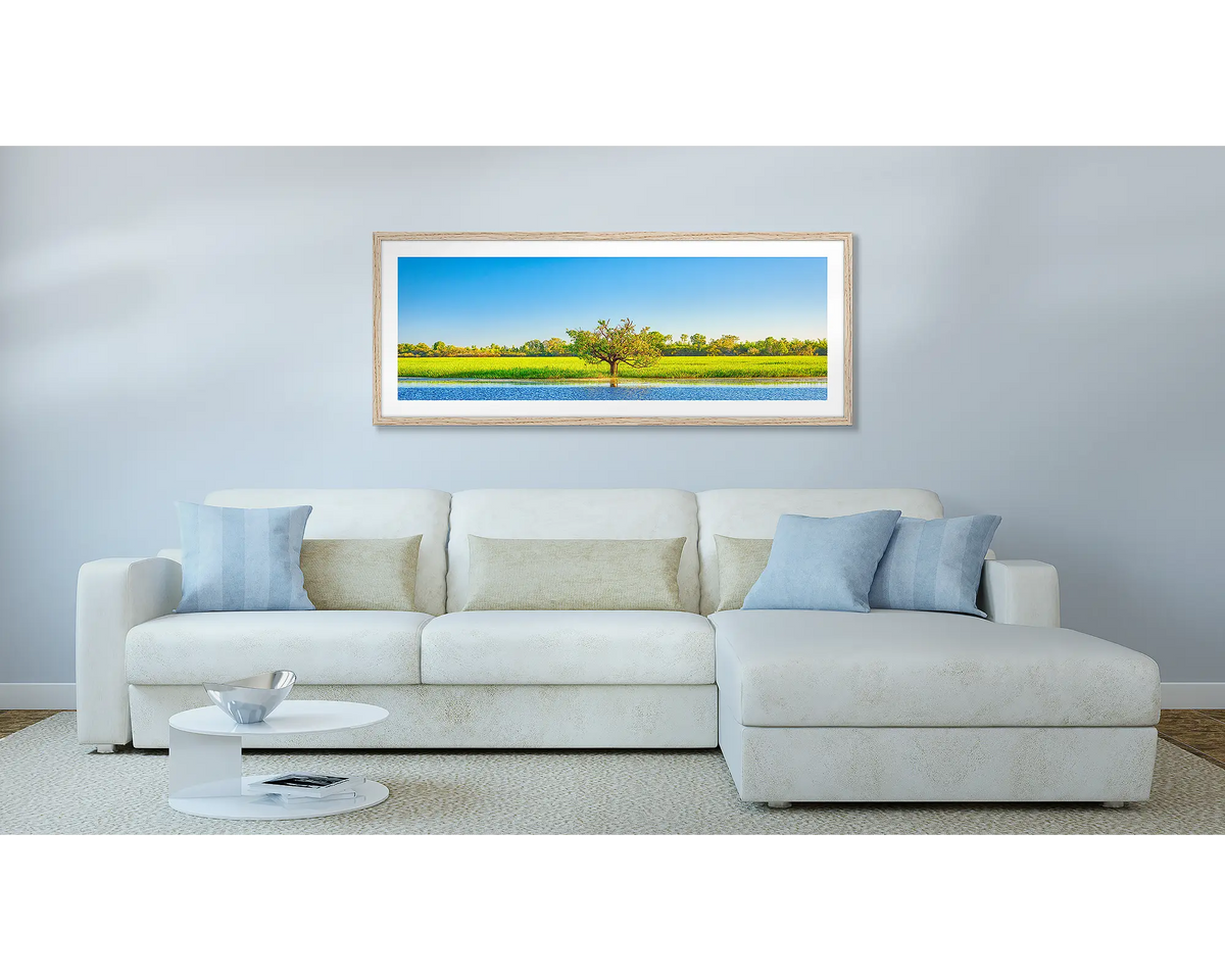 Outlier. Kakadu wall art print, with a timber frame, hung above a couch.