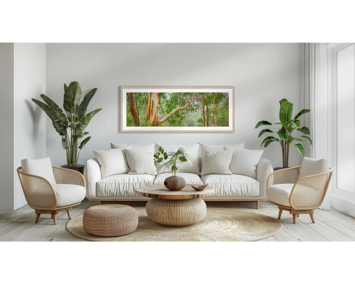 Outreach. Gum tree wall art print with a Tassie oak frame, above a couch. 