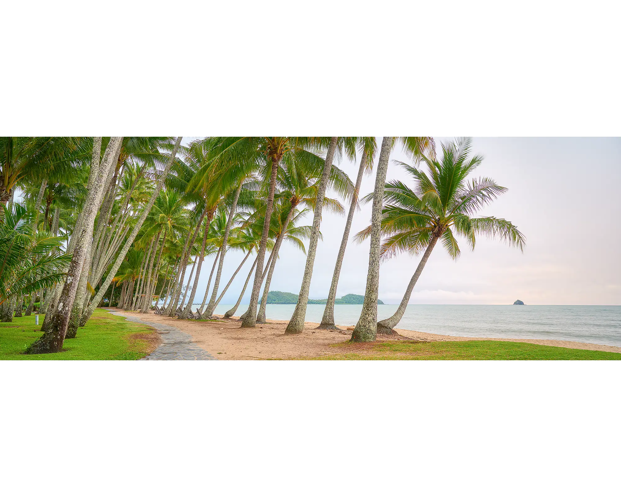 Palm Tree Tunnel, Palm Cove at sunrise, Queensland, Australia.