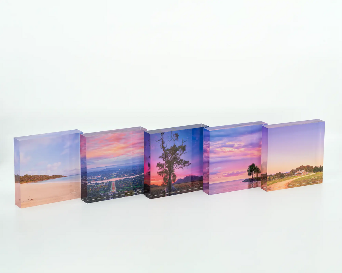 Paradise Palms acrylic block displayed with other square acrylic blocks. 