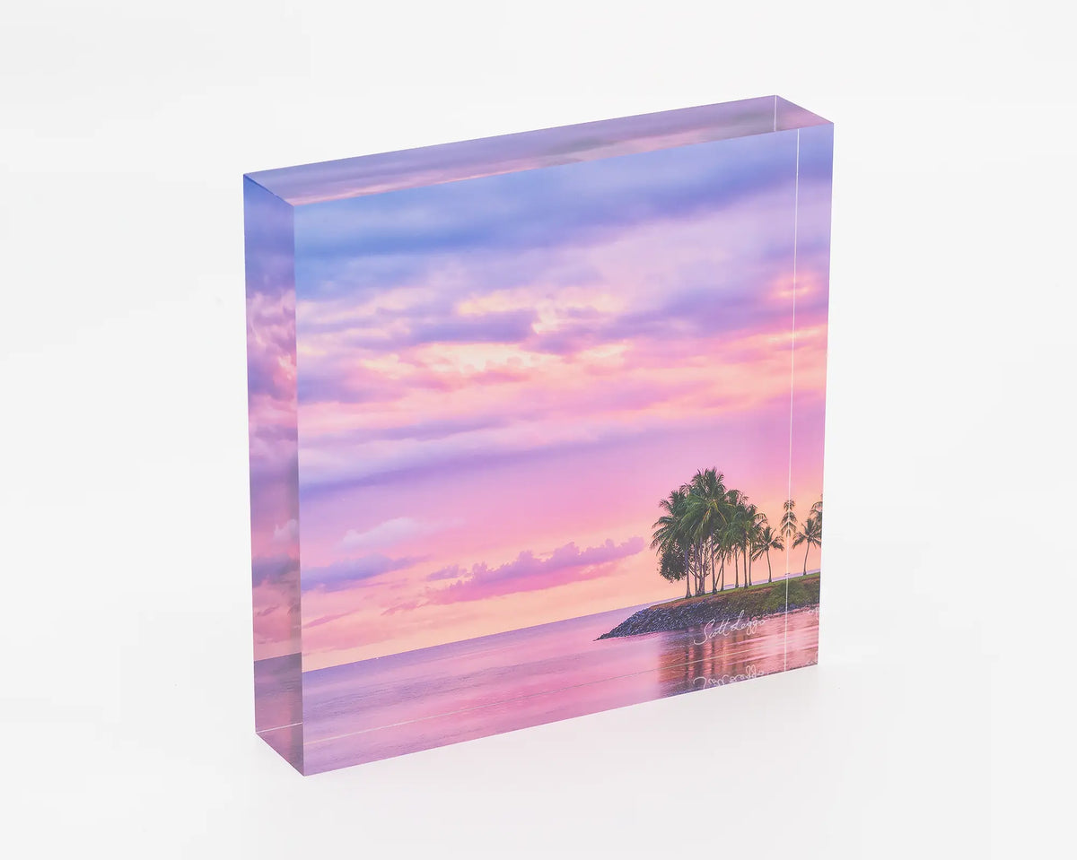 Paradise Palms acrylic block - Port Douglas artwork. 