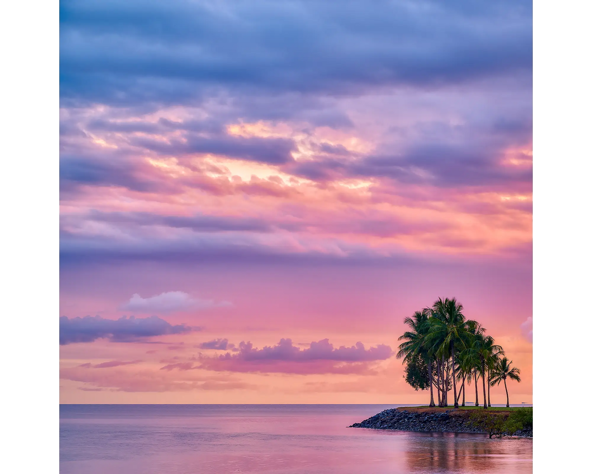 Sunrise over palm trees and calm ocean waters at Port Douglas, Queensland. 