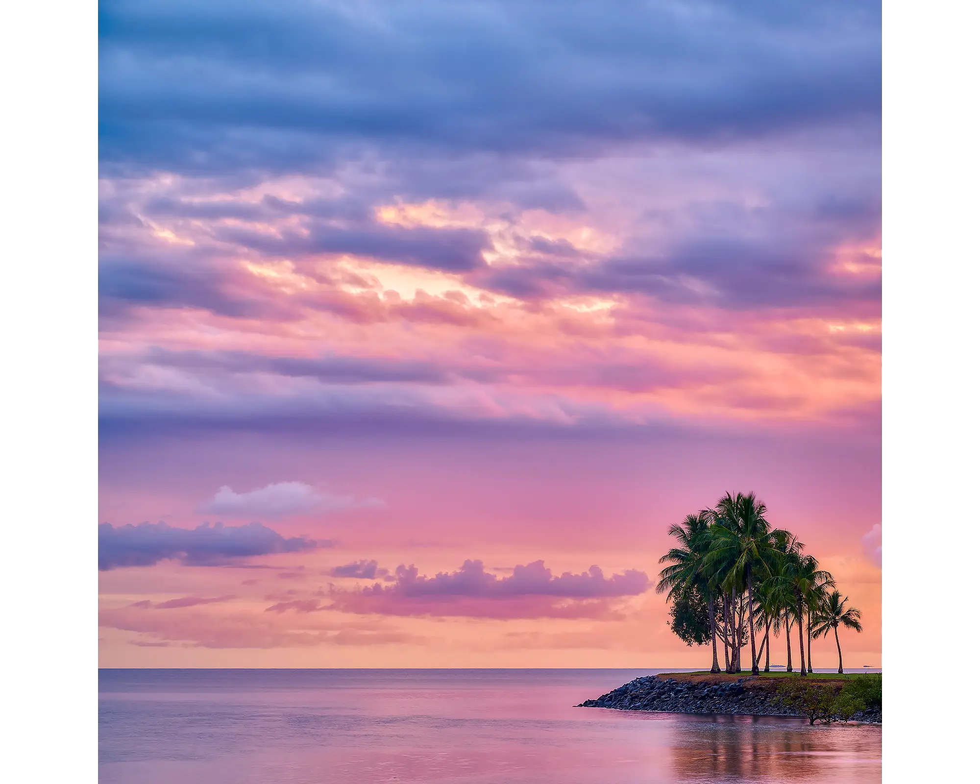 Paradise Palms acrylic block - Port Douglas artwork. 