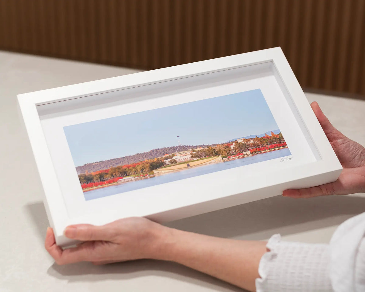 Parliamentary Reds. Autumn in Canberra, small framed print with a white frame. 