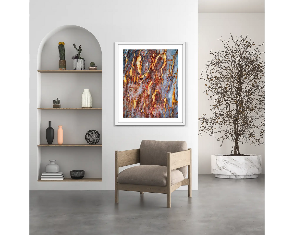 Peeling. Gum tree bark wall art print, with a white frame, hung above a chair.