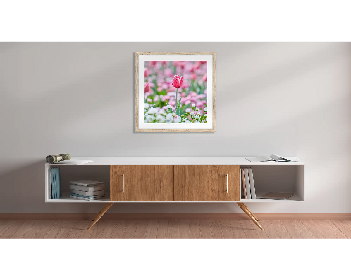 Pretty in Pink. Floriade wall art print with a timber frame, hung above a side table. 