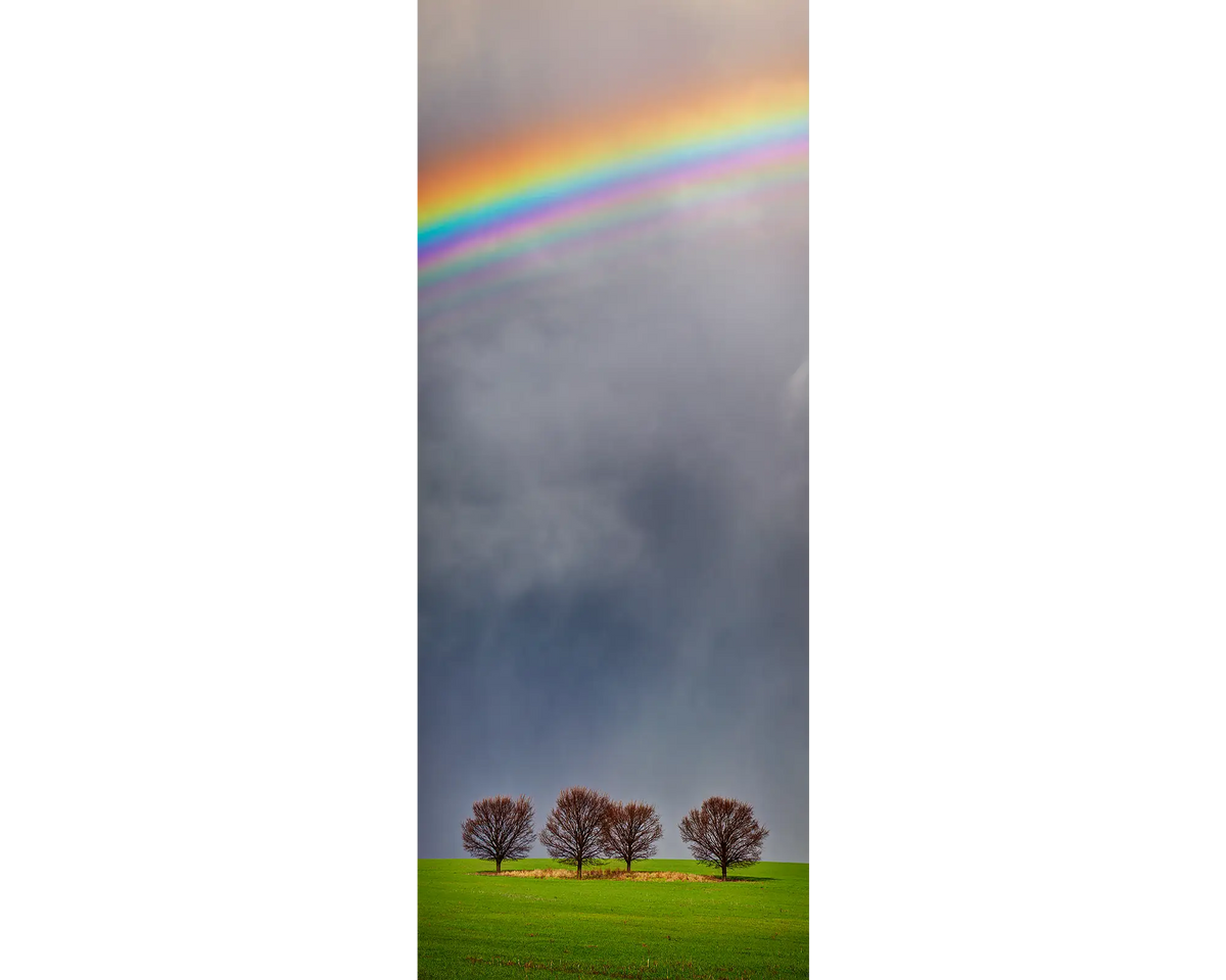 Rainbow over the farm with trees in paddock.