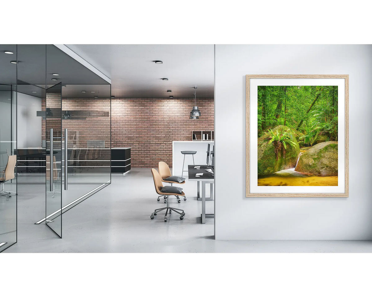 Rainforest Magic. Daintree rainforest wall art print with a timber frame, in a modern office. 