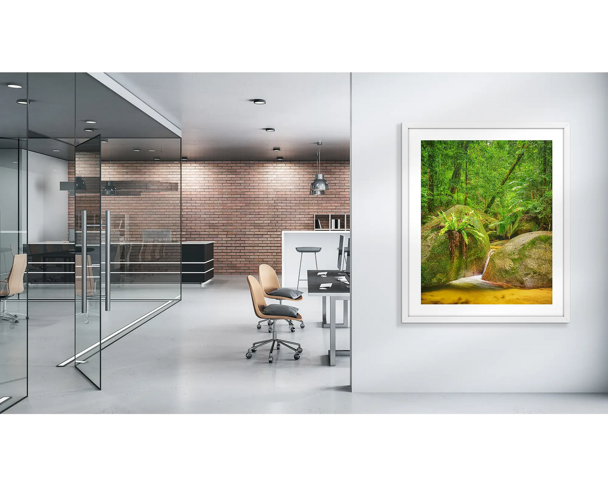 Rainforest Magic. Daintree rainforest wall art print with a white frame, in a modern office. 