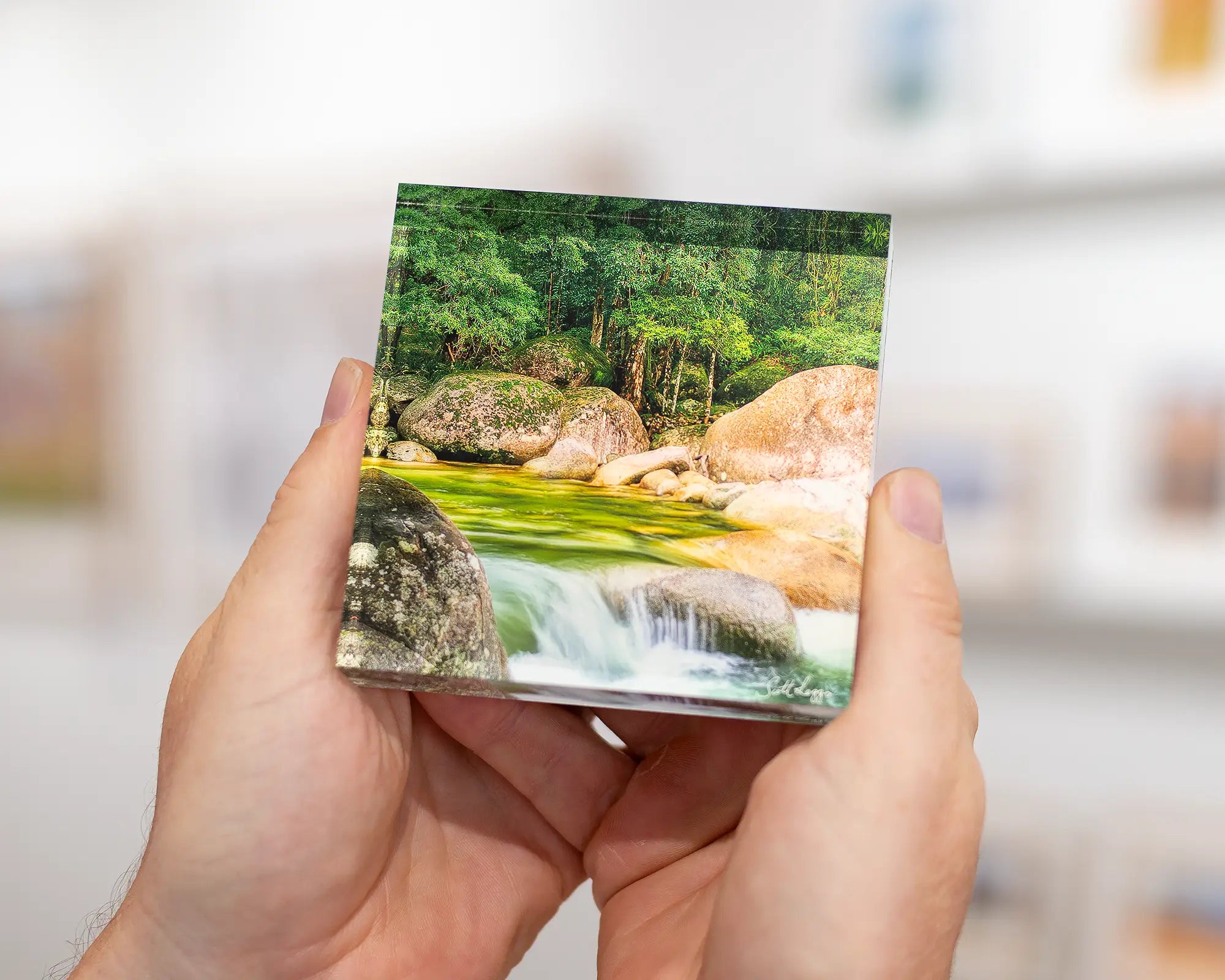 Rainforest Rocks acrylic block - Mossman Gorge, Daintree National Park, Queensland. 