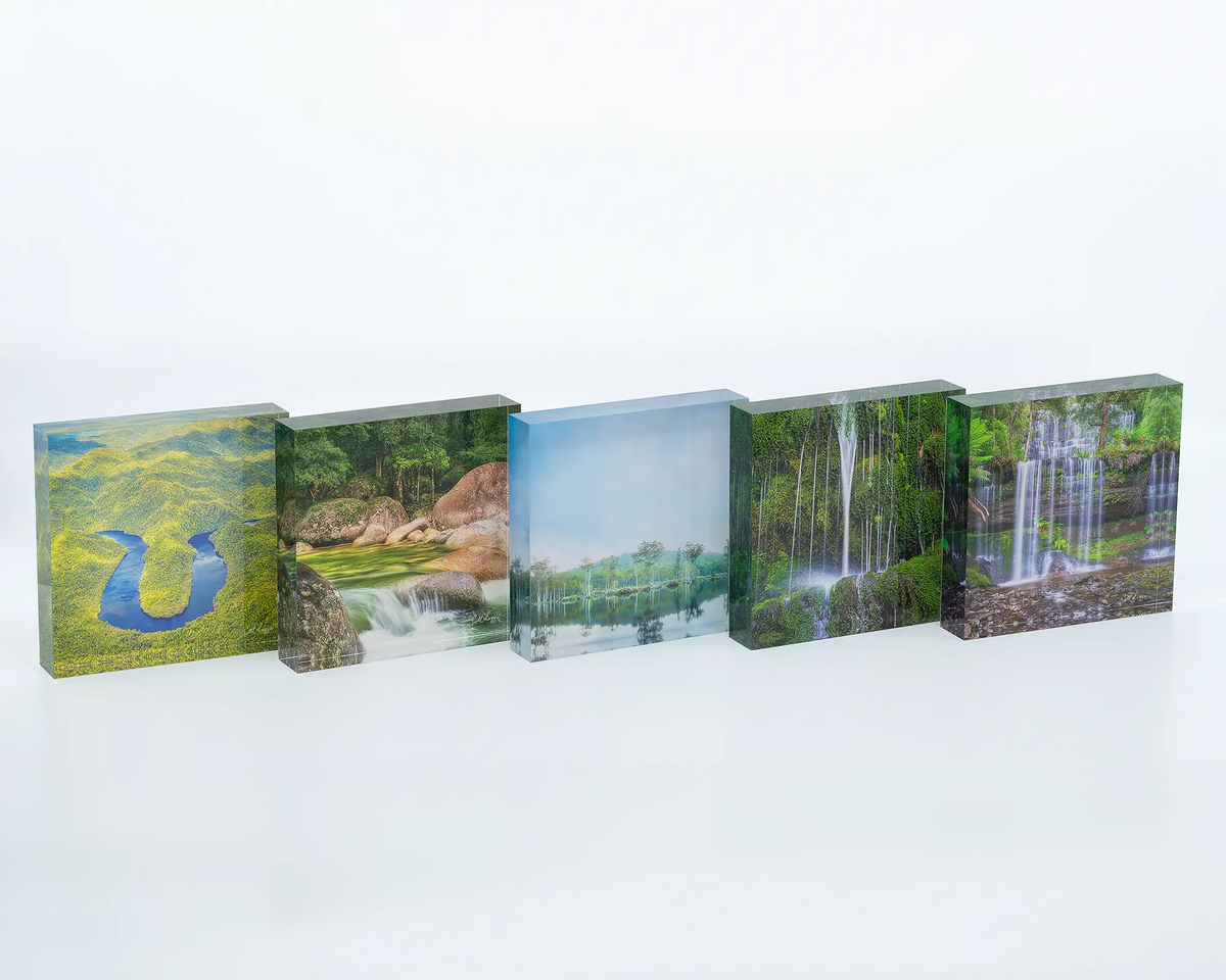 Rainforest Rocks acrylic block displayed with other waterways themed blocks. 