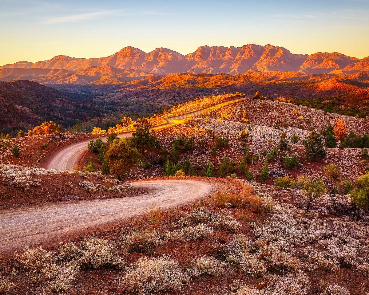 Sunrise over Wilpena Pound, Flinders Rages National Park, SA. 