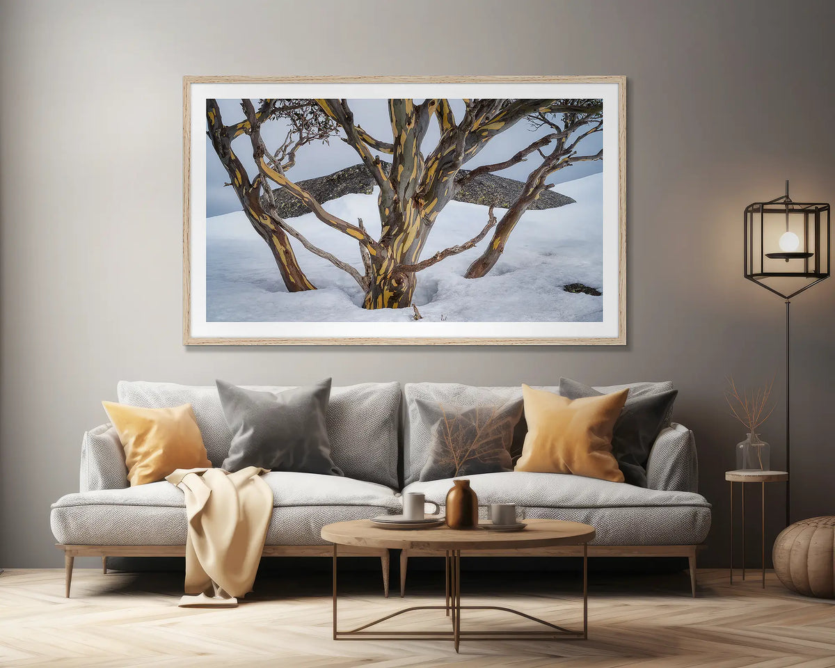 Reach. Extra large, snow gum wall art print, with a Tassie oak frame, on a lounge room wall.  