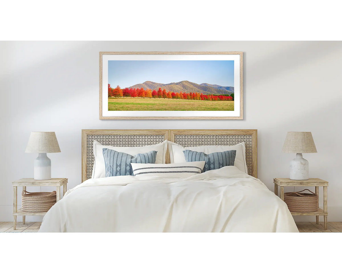 Red lIne. Autumn wall art print, in a timber frame, above a bed. 