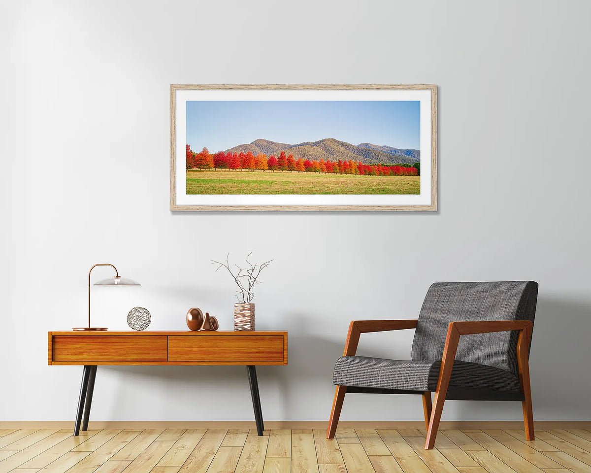 Red Line. Framed autumn wall art in Tasmanian Oak frame, above a chair.