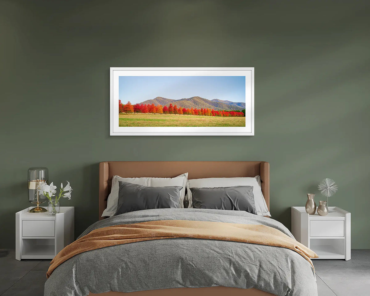 Red Line. Framed rural wall art above a bed. 