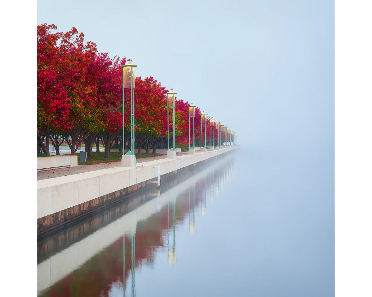 Red autumn trees in fog beside Lake Burley Griffin, Canberra, ACT. 