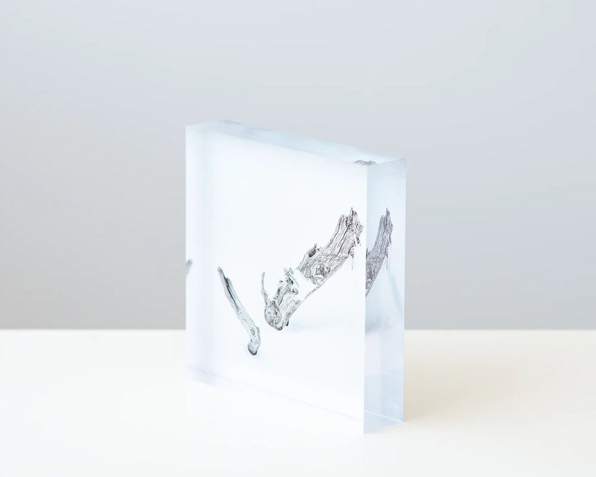 Remnant acrylic block displayed on a desk. 