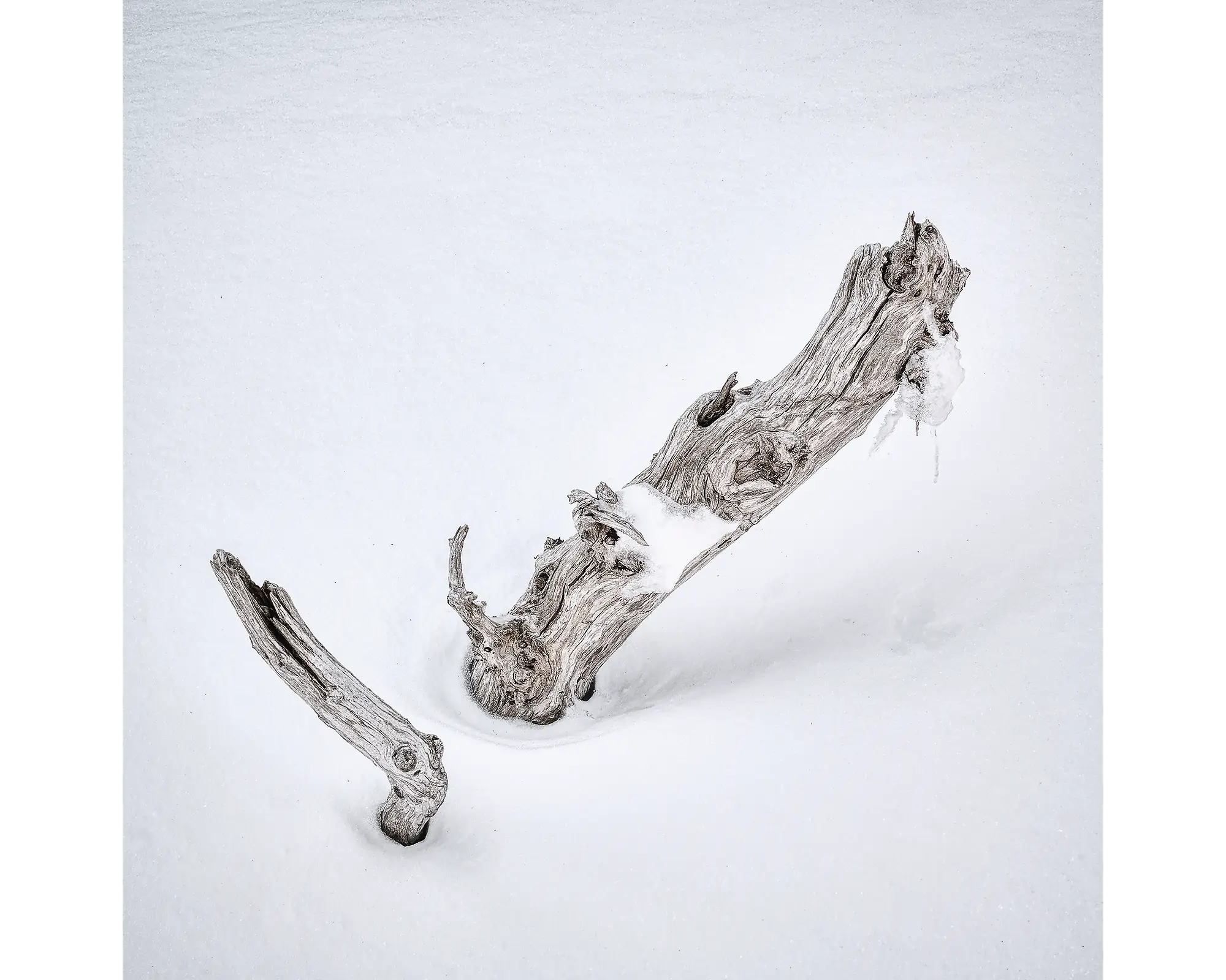 Remnant acrylic block - snow gum artwork. 