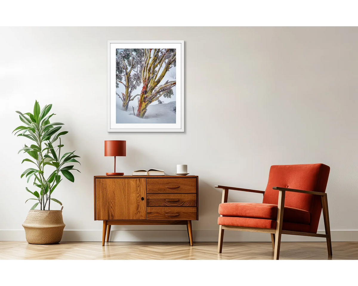 Resilience. Snow gum wall art in a white frame above a side table. 