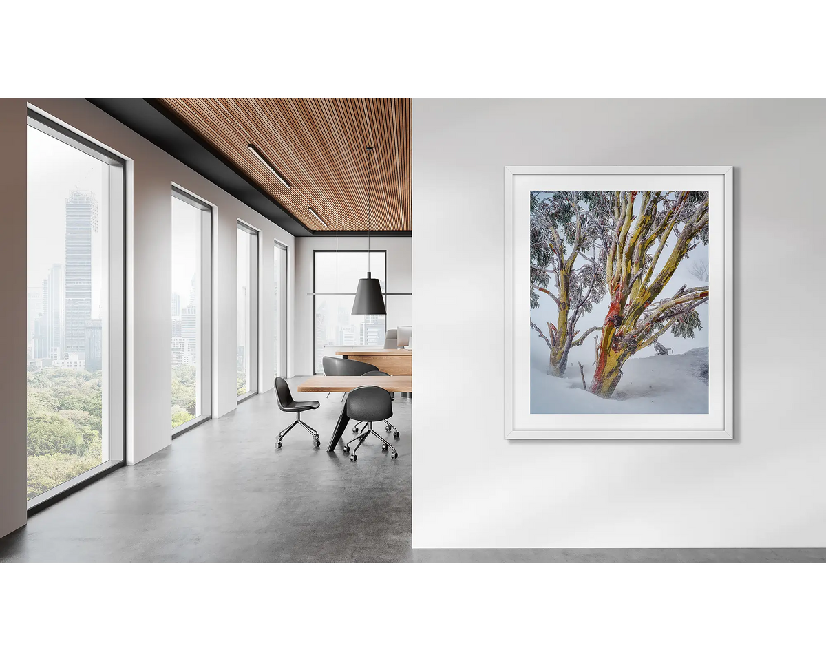 Resilience. Snow gum wall art in a white frame on an office wall. 