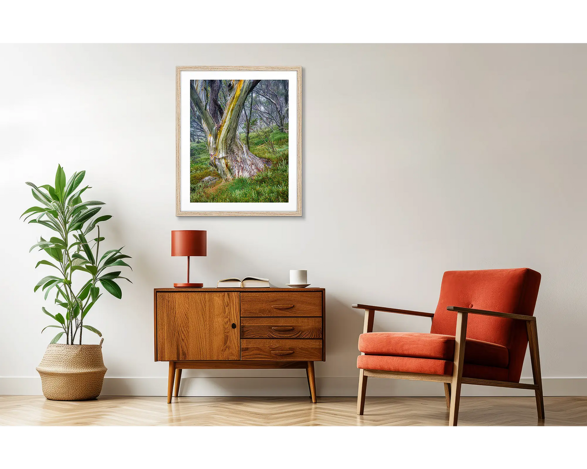 Resistance. Snow gum artwork in a wood frame above a side table. 