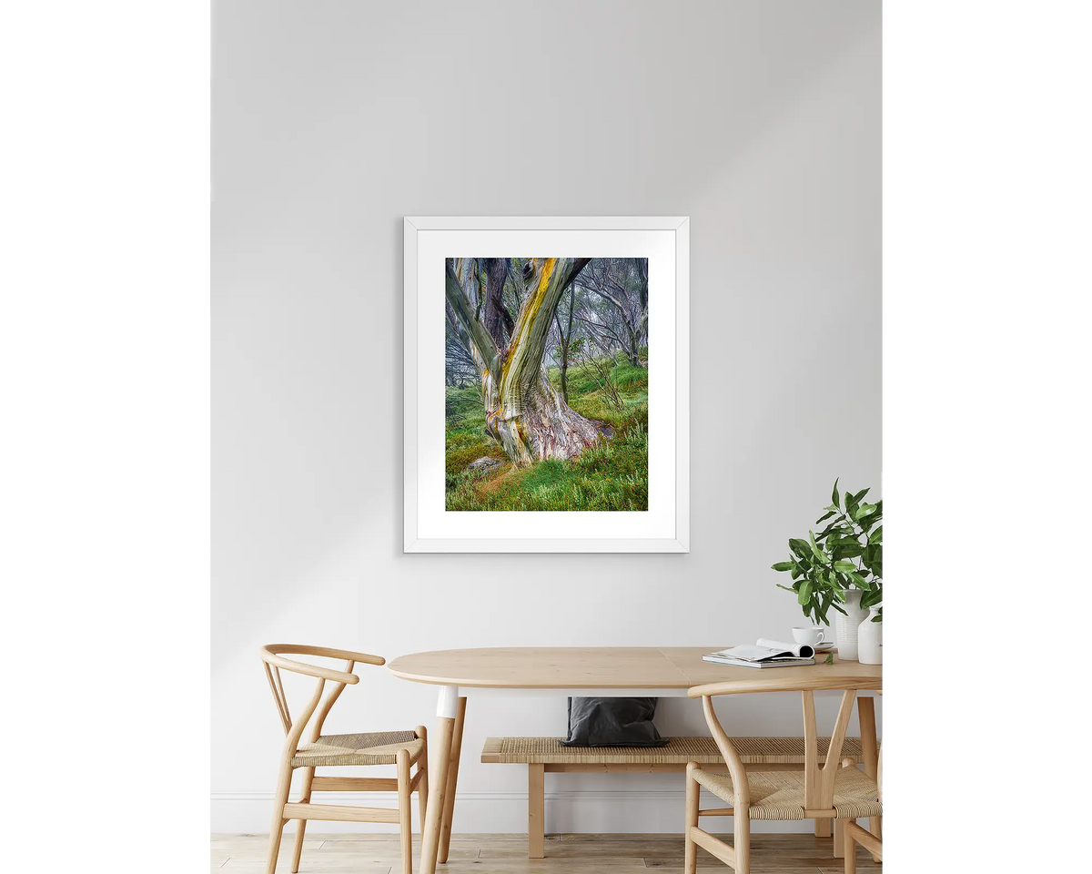 Resistance. Snow gum artwork with a white frame, hanging above a table.