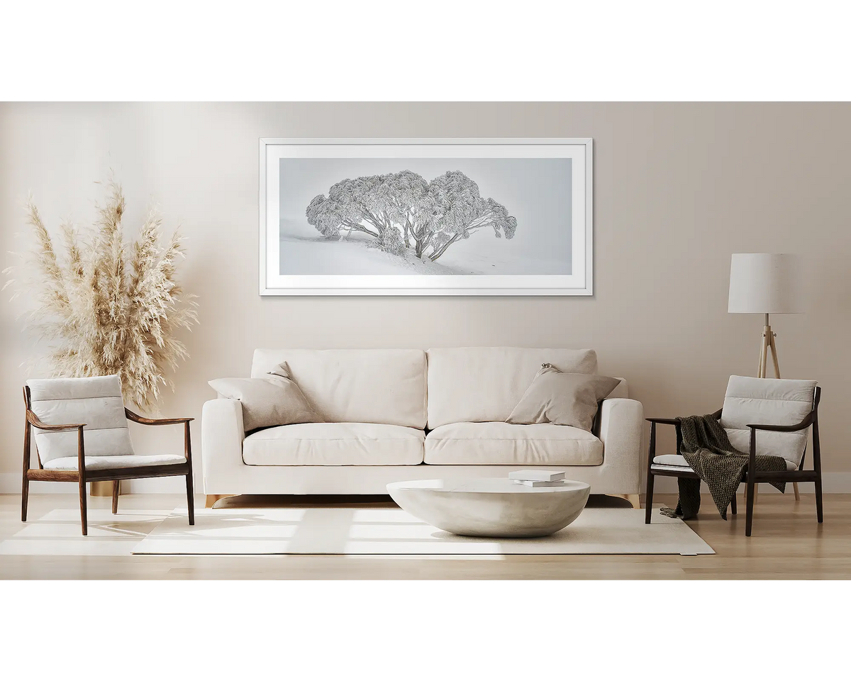 Revealed. Snow gum covered in snow wall art, framed in white, hung above a couch.