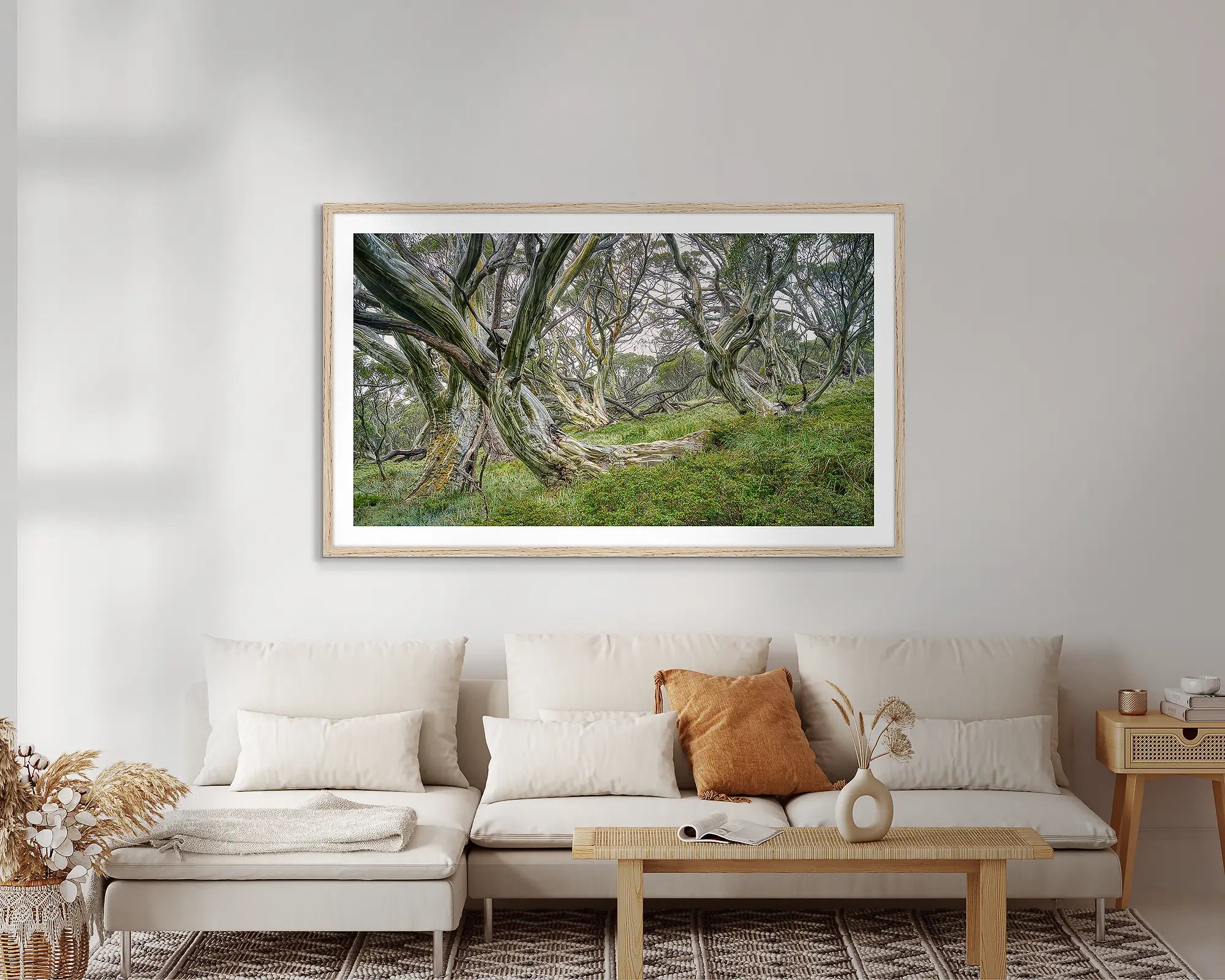 Robust. Snow gums in forest, Kosciuszko National Park, New South Wales, Australia.