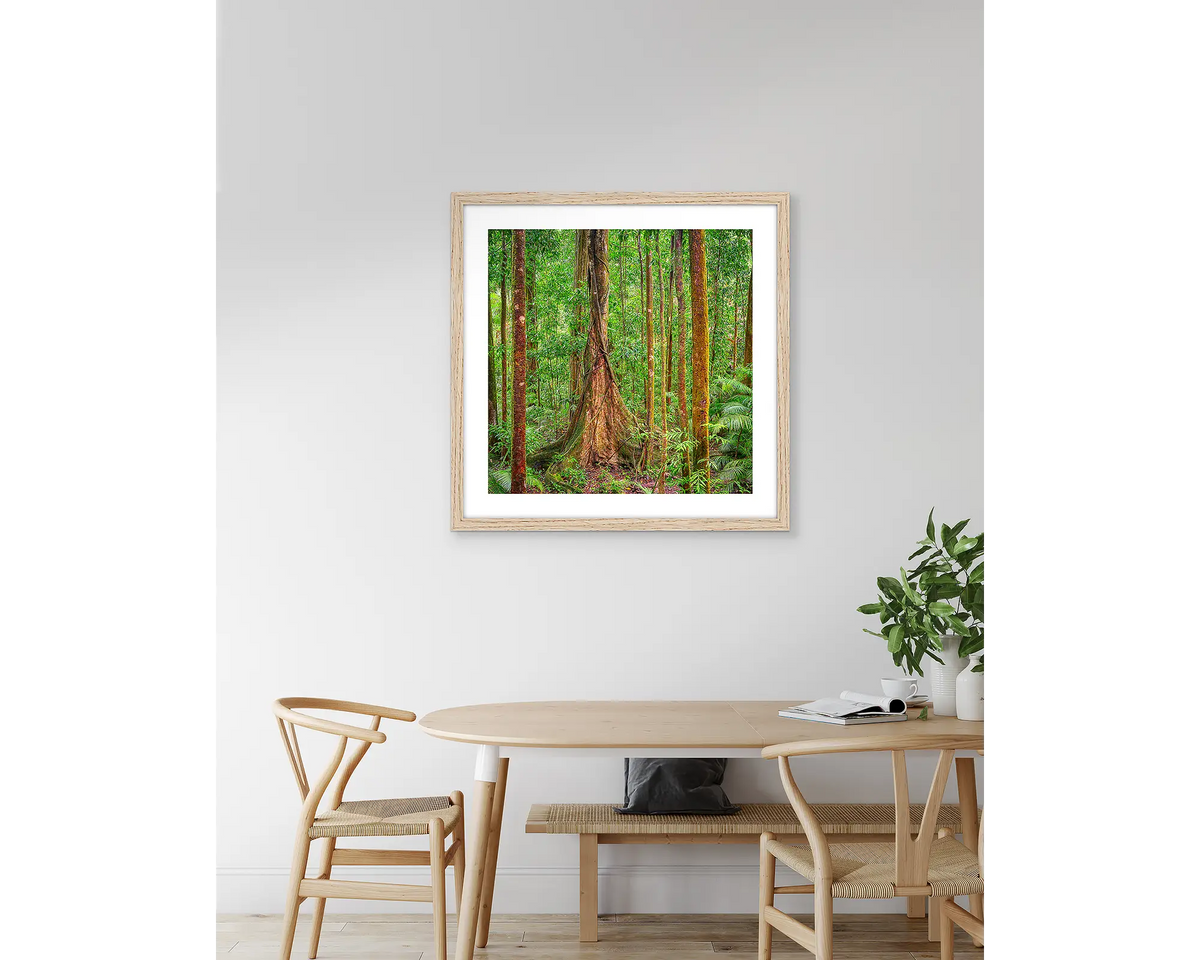 Seeking Sun. Daintree Rainforest artwork, with a timber frame, hung above a kitchen table.