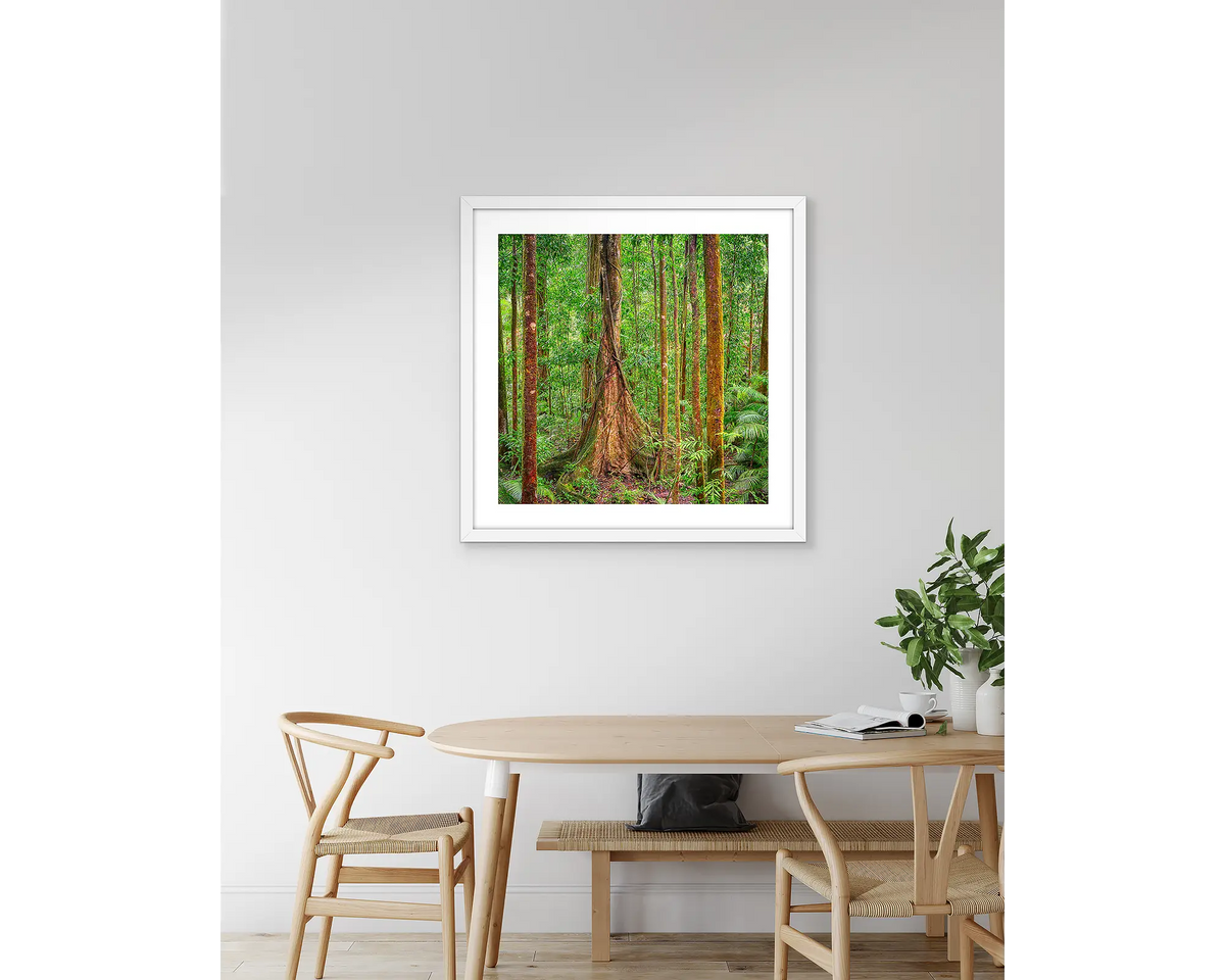 Seeking Sun. Daintree Rainforest artwork, with a white frame, hung above a kitchen table.