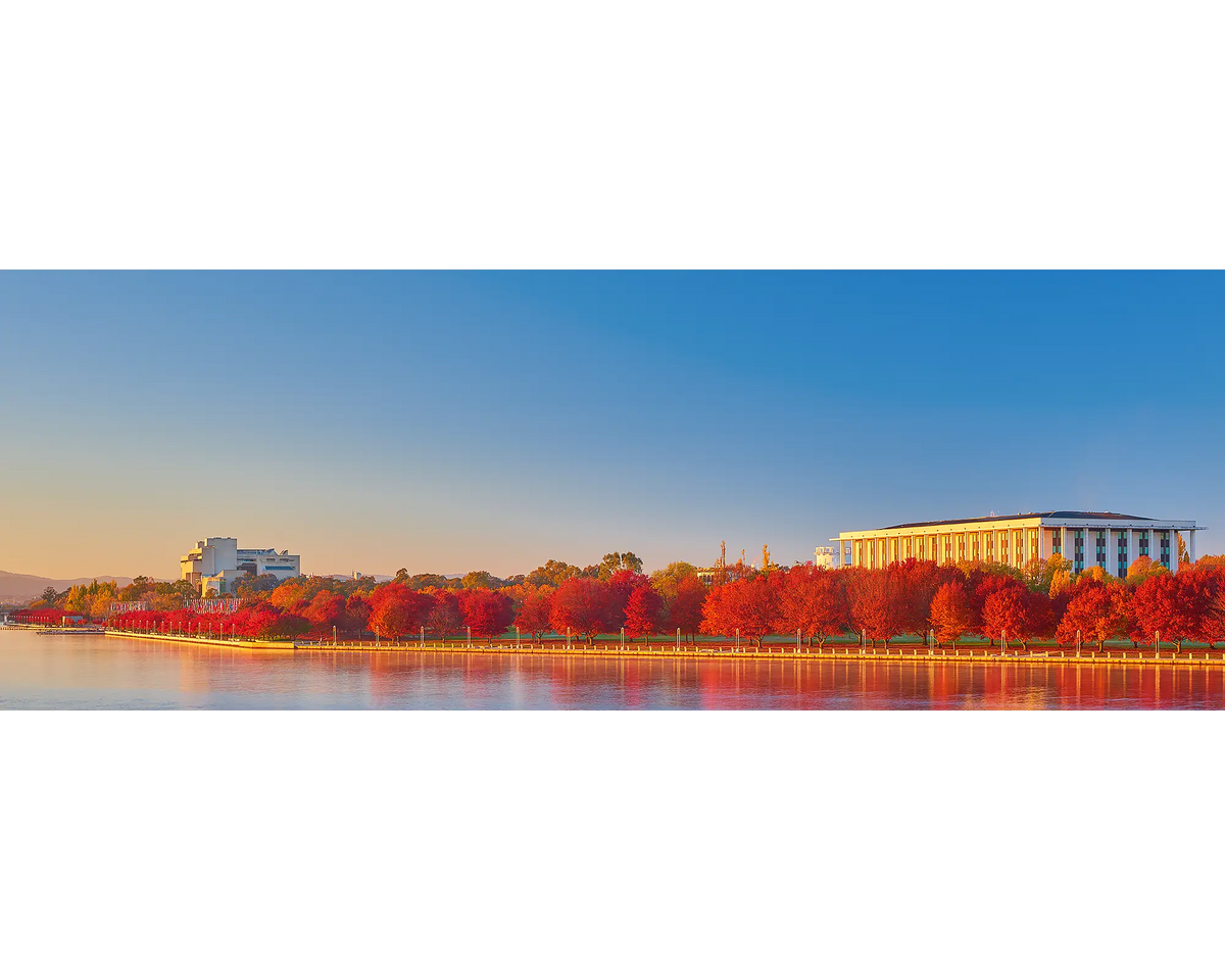 Sunrise with red trees beside Lake Burley Griffin, Canberra, ACT. 