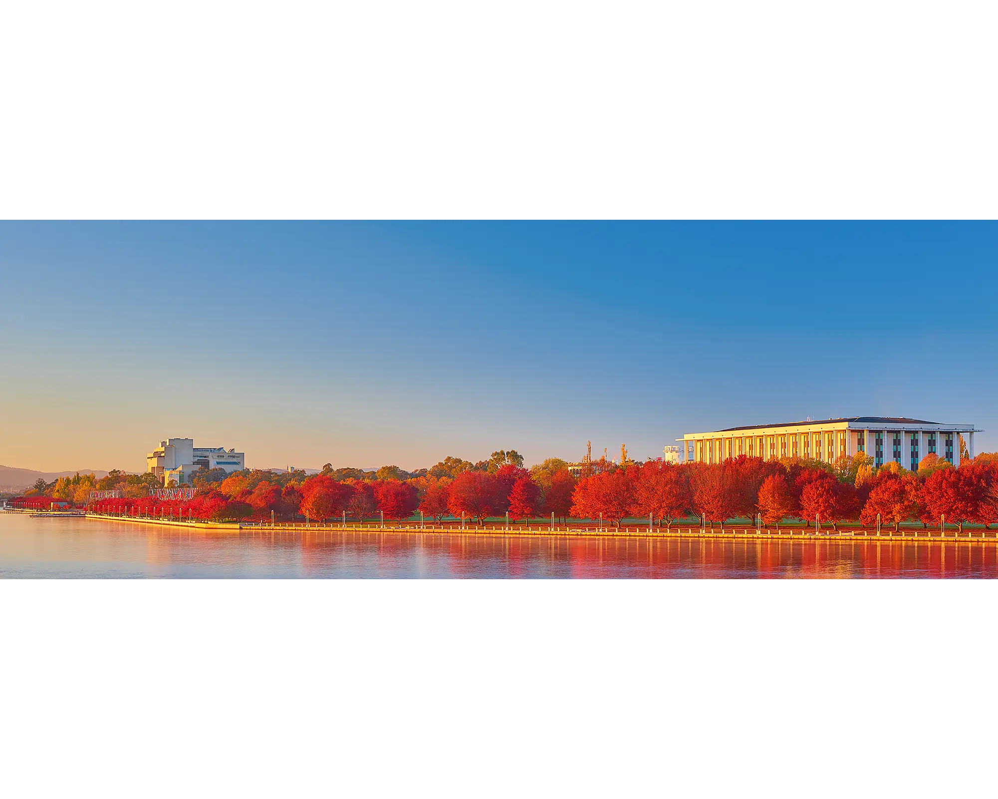 Sunrise with red trees beside Lake Burley Griffin, Canberra, ACT. 