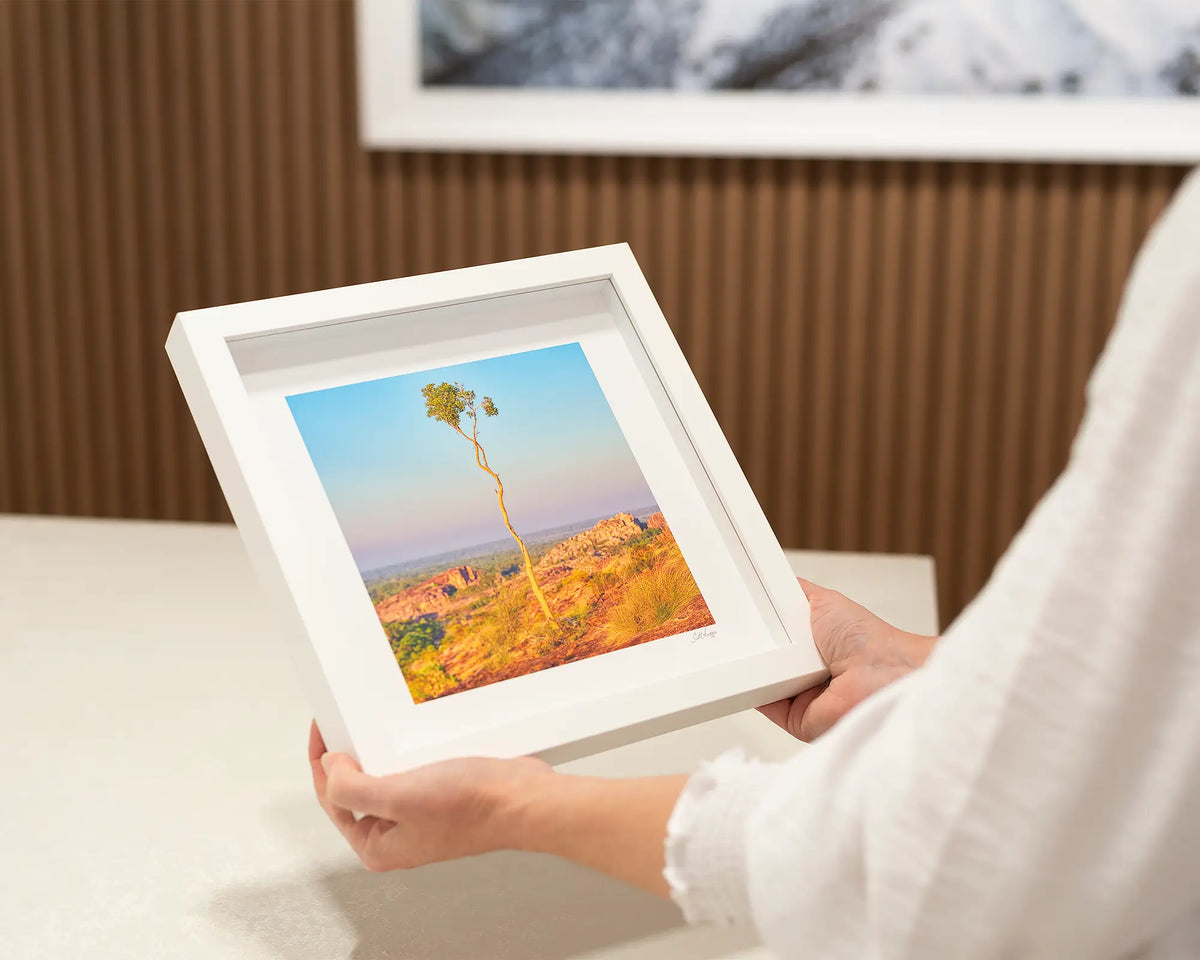 Single. Kakadu National Park small framed print in a white frame.