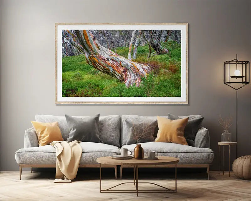 Snow Gum wall art in lounge room.