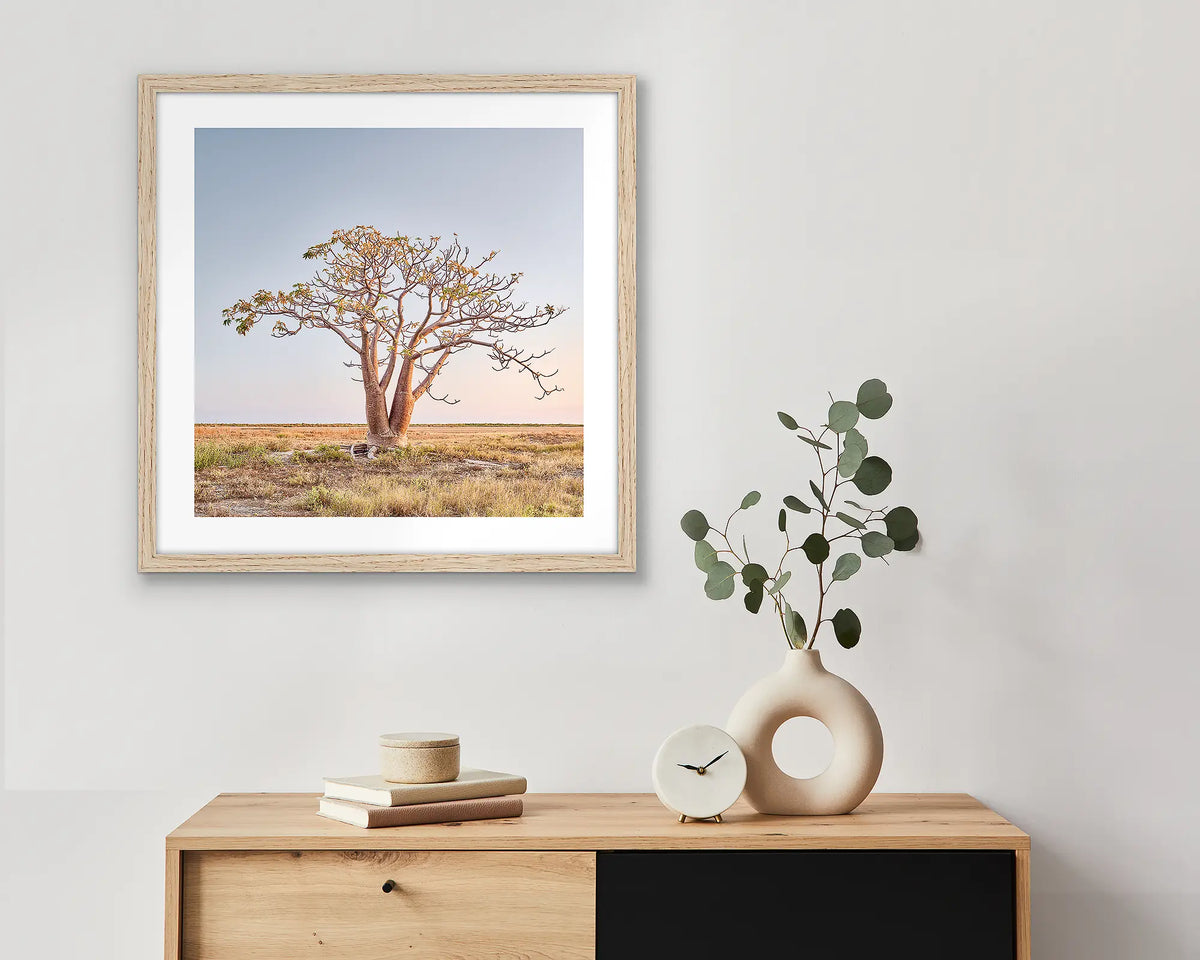 Solitary. Framed Boab tree wall art print, with a timber frame, hung above a side table.