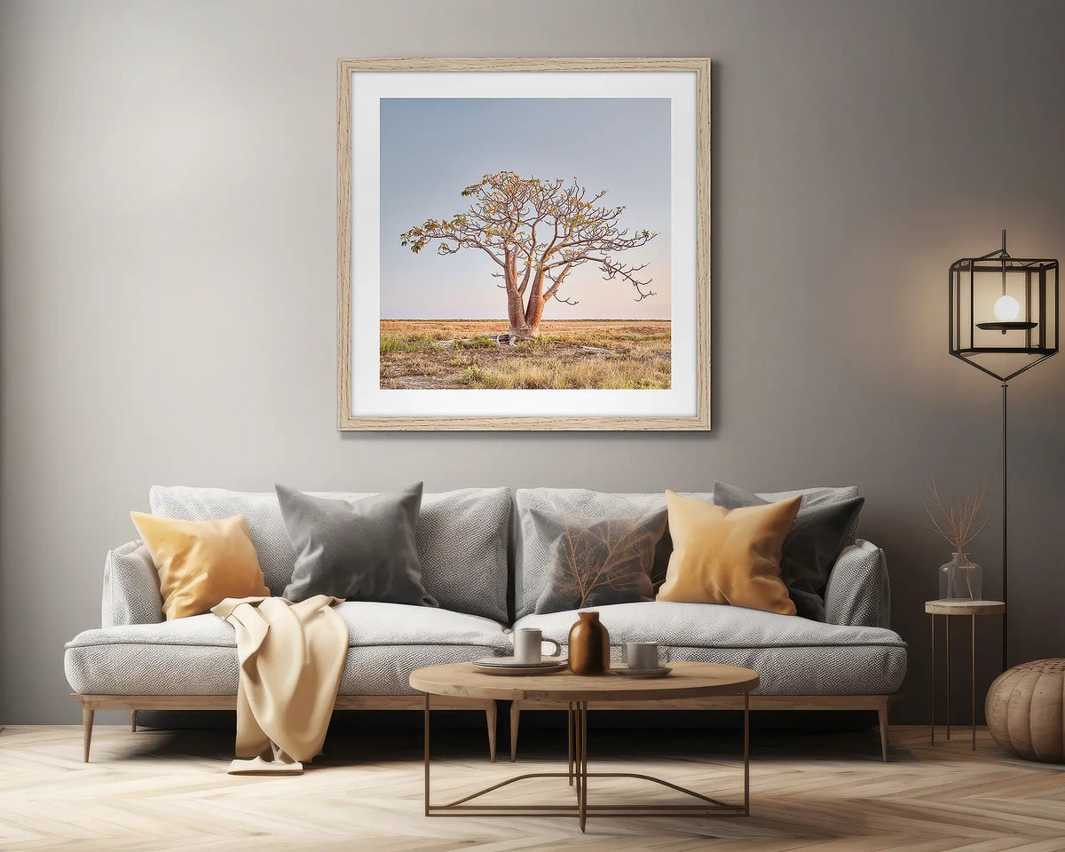 Solitary. Kimberley Boab tree artwork, on a lounge room wall. 