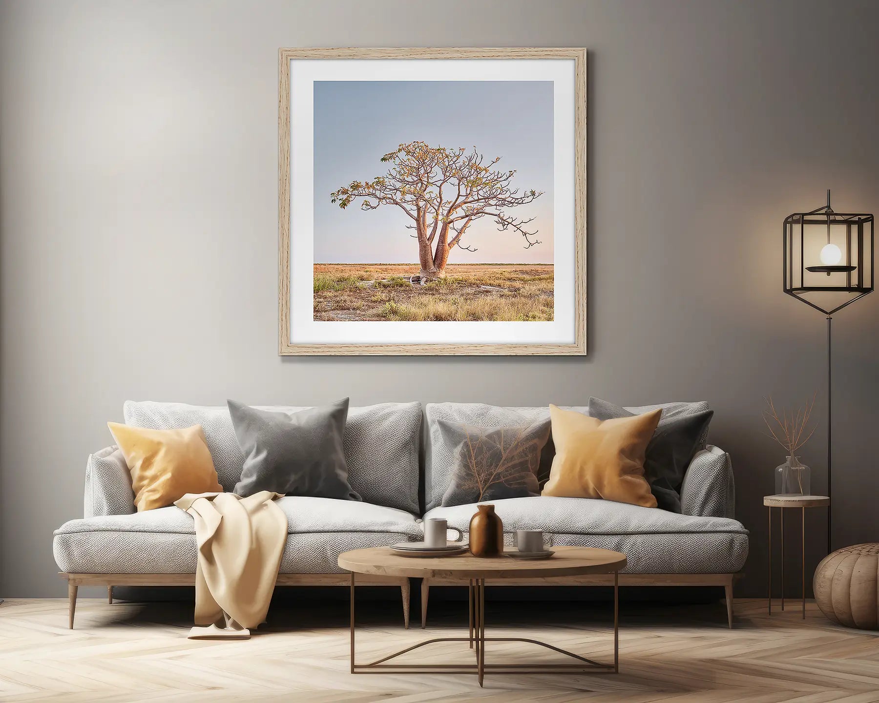 Solitary boab tree, Derby, The Kimberley, Western Australia.Boab Tree