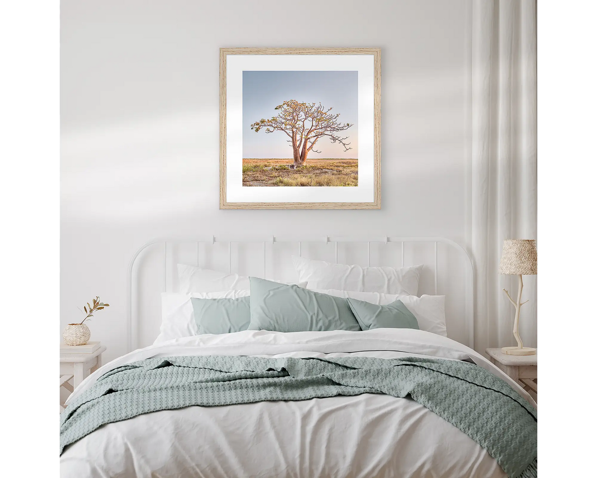 Solitary. Kimberley boab wall art in a Tasmanian Oak frame, hanging above  a bed.