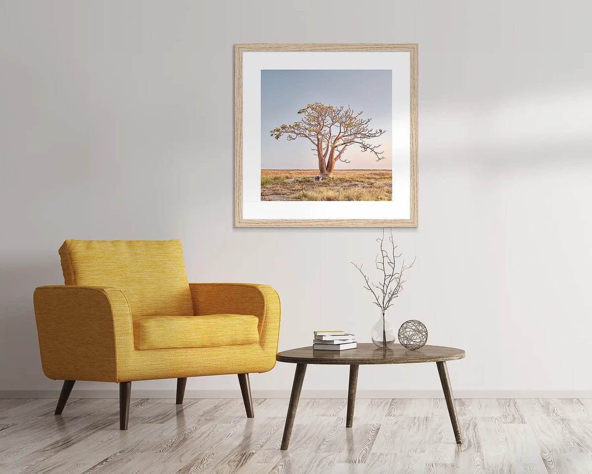 Solitary. Kimberley boab wall art in a Tasmanian Oak frame, hanging above a yellow chair.