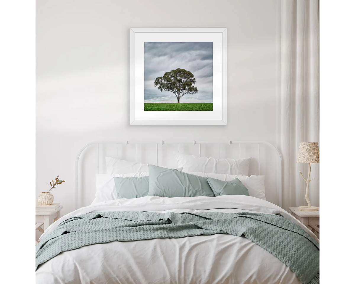 Solo. Gum tree artwork, hanging above a  bed ,with white and gum leaf linen.