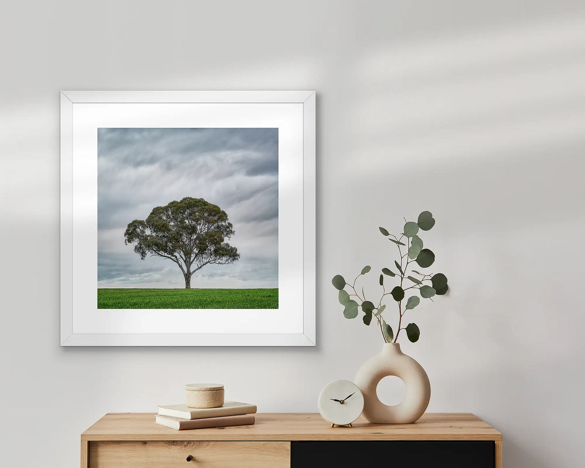 Solo. Gum tree wall art print ,in a white frame, hung above a table.